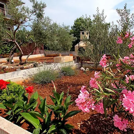 And Maestral 公寓 特罗吉尔