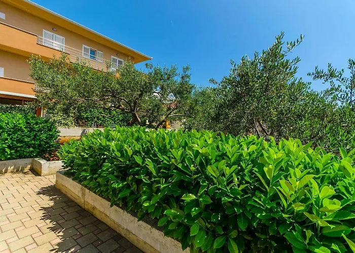 Apartman And Maestral